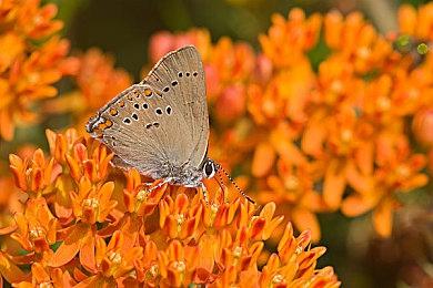 《孤岛惊魂》多人游戏已重启  《孤岛惊魂7》开发顺利